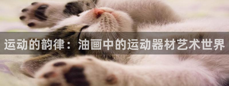 熊猫体育开户：运动的韵律：油画中的运动器材艺术世界