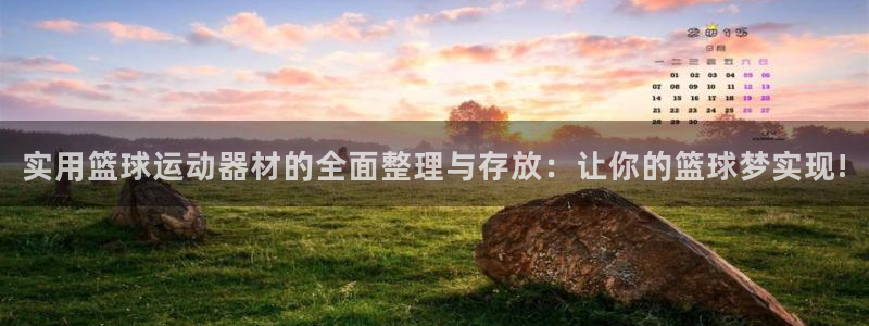 熊猫体育集团官网网址：实用篮球运动器材的全面整理与存放：让你