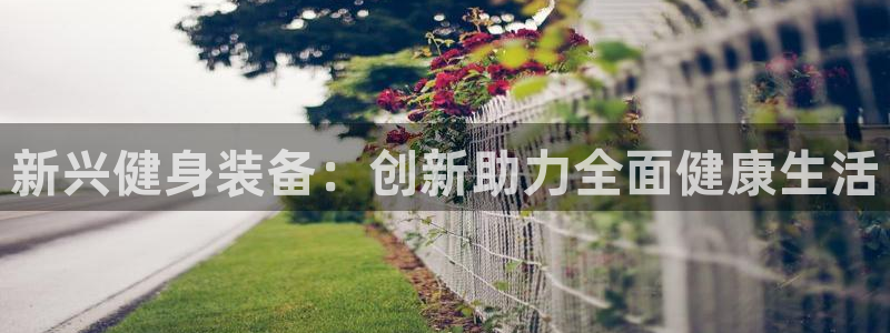 熊猫集团官网：新兴健身装备：创新助力全面健康生活