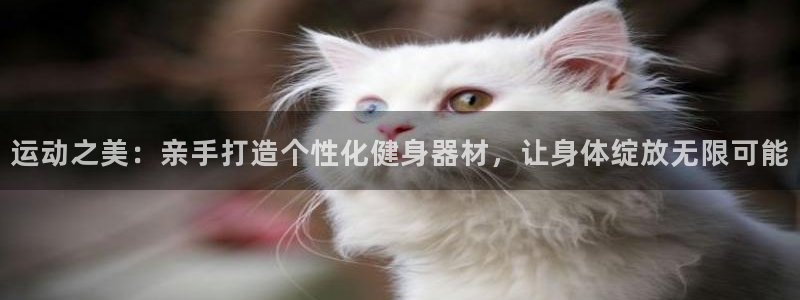 熊猫体育集团logo：运动之美：亲手打造个性化健身器材，让身