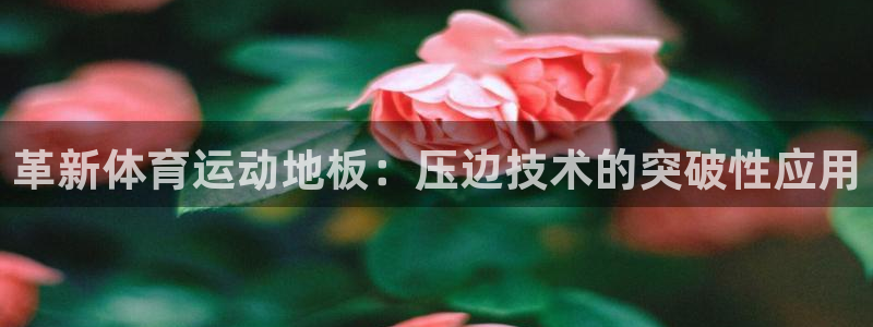 ug环球官网登录入口：革新体育运动地板：压边技术的突破性应用