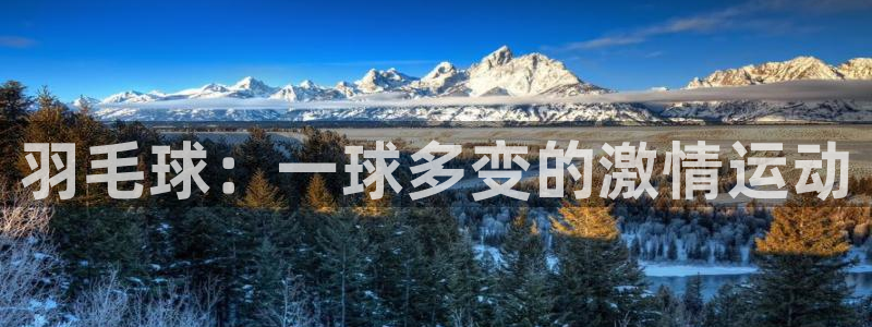 ug环球官网注册：羽毛球：一球多变的激情运动