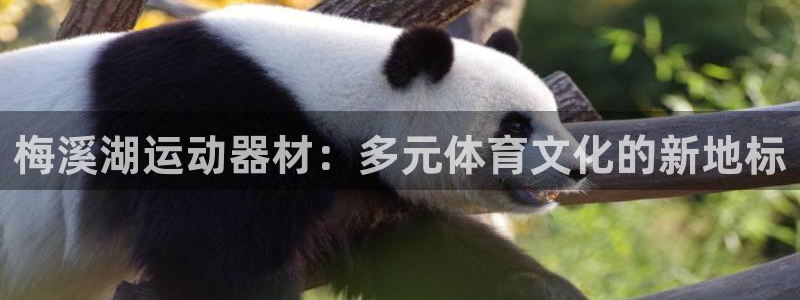 熊猫体育官网下载平台是正规平台吗安全吗：梅溪湖运动器材：多元