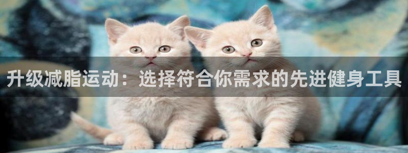 熊猫体育集团官网网址：升级减脂运动：选择符合你需求的先进健身