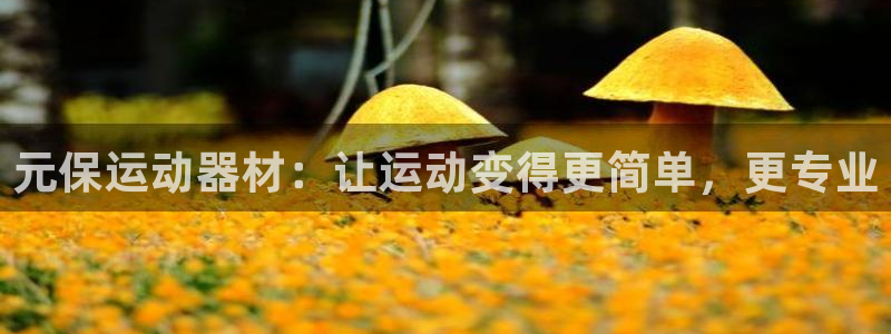 德国熊猫体育集团：元保运动器材：让运动变得更简单，更专业