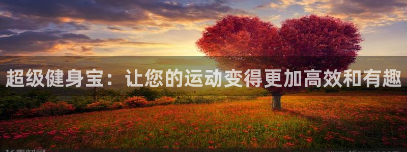 熊猫体育官网下载软件：超级健身宝：让您的运动变得更加高效和有