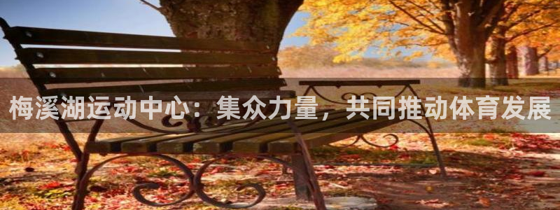 熊猫体育官网下载平台：梅溪湖运动中心：集众力量，共同