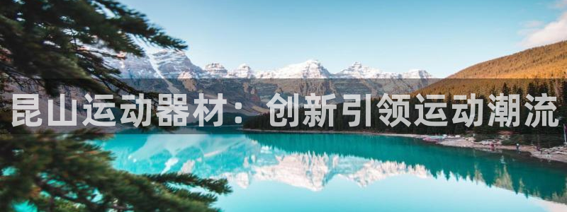 熊猫体育官网下载平台注册要钱吗是真的吗：昆山运动器材：创新引